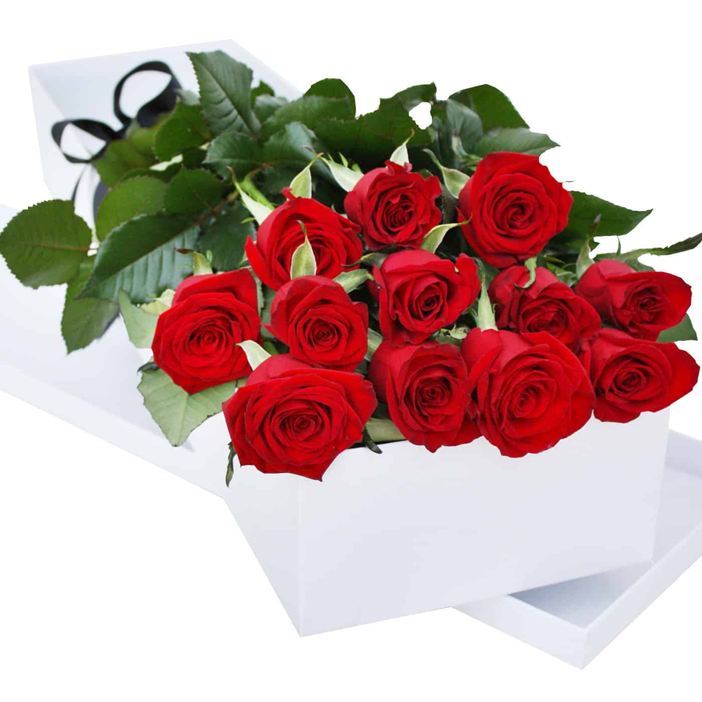12 Roses in Gift Box – FlowerSales